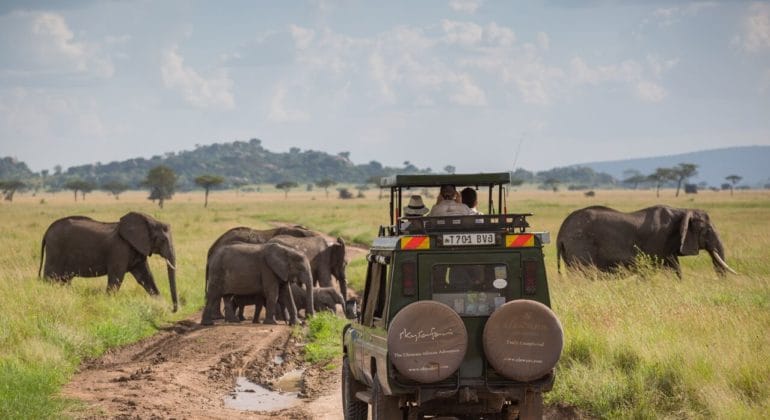 Serengeti Pioneer Camp Game Drive