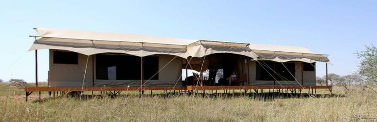 Siringit Serengeti Camp Family Tent