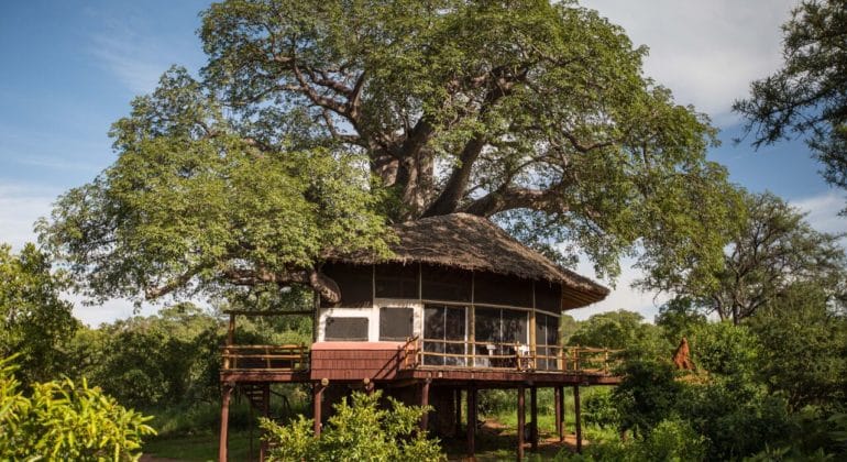 Tarangire Treetops Accommodation