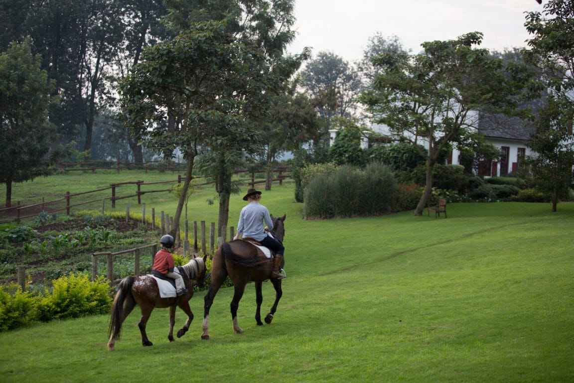 The Manor Horse Riding