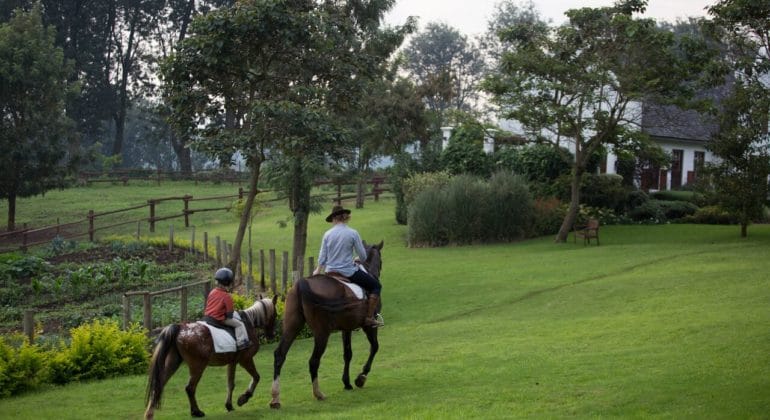 The Manor Horse Riding