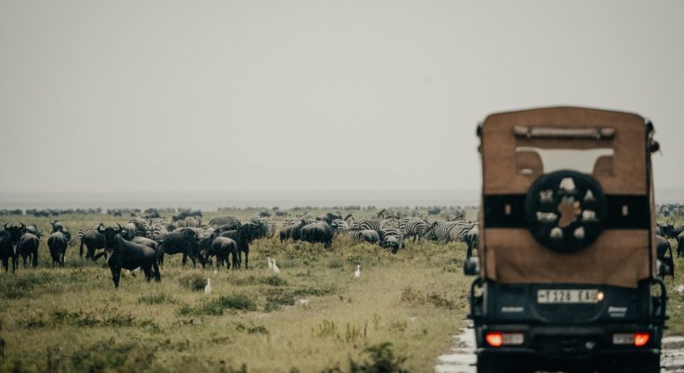 Wayo Little Green Camp Game Drives