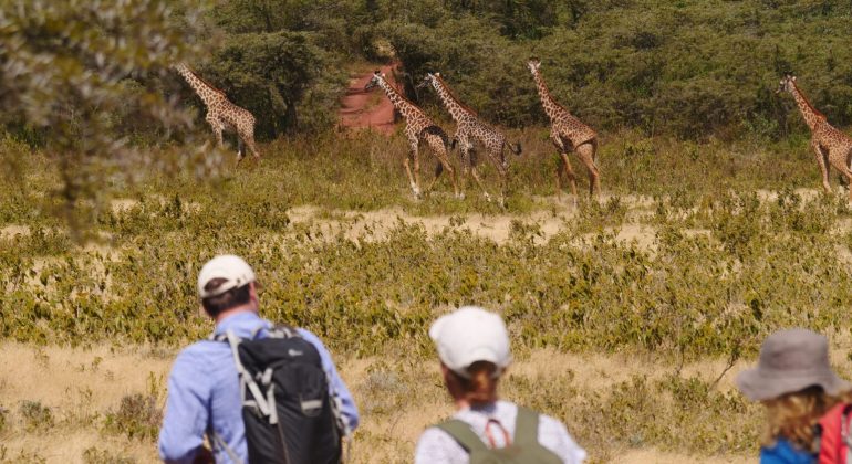 Wayo Little Green Camp Guided Walks
