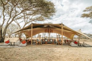 Wayo Little Green Camp Main Area