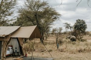 Wayo Little Green Camp Tent