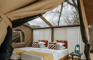 Wayo Little Green Camp Tent Interior
