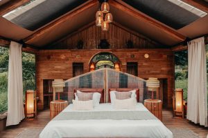 Wayo Manyara Green Camp Guest Room