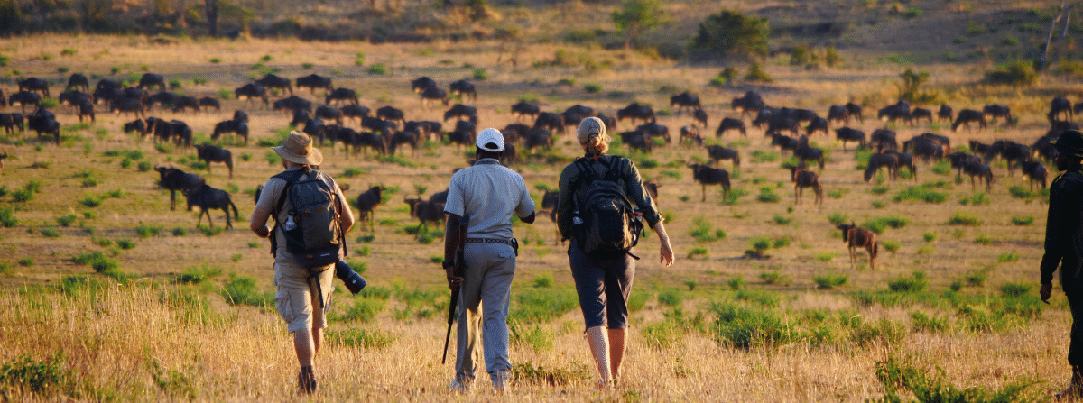 Wayo Serengeti Walking Camp Activities