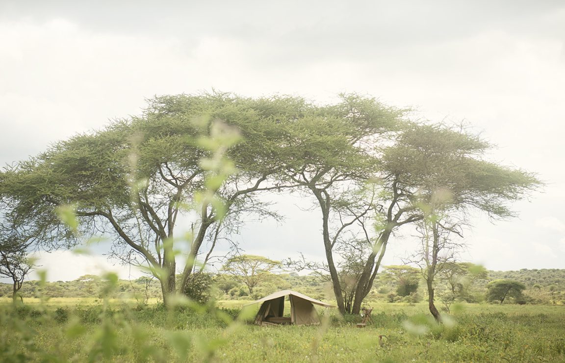 Wayo Walking Camp Tent