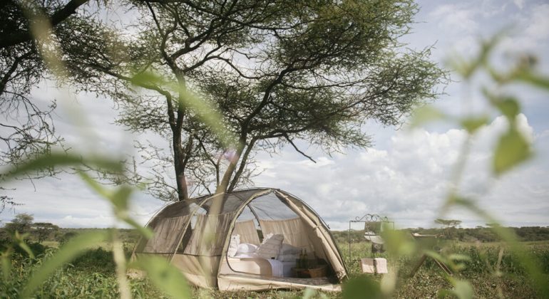 Wayo Walking Camp Tent View