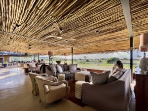 Andersson's At Ongava Main Area