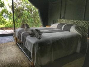 Bukima Tented Camp Bed