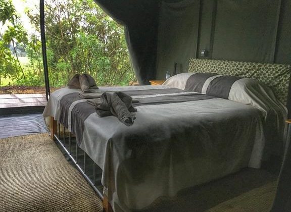 Bukima Tented Camp Bed