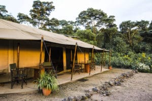 Bukima Tented Camp Tent View