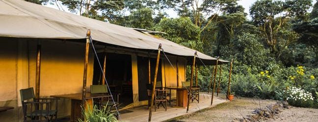 Bukima Tented Camp Tent View