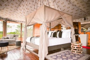 Feline Fields Bedroom