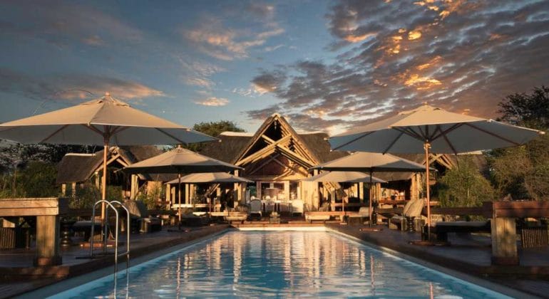 Feline Fields Lodge Pool 1