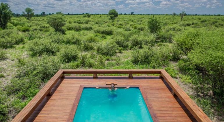 Feline Fields Lodge Pool