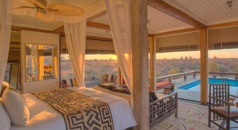Feline Fields Lodge Suite