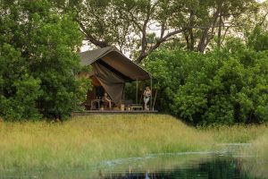 Gomoti Plains Camp Tent View