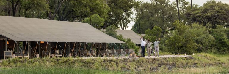 Gomoti Plains Camp Tents