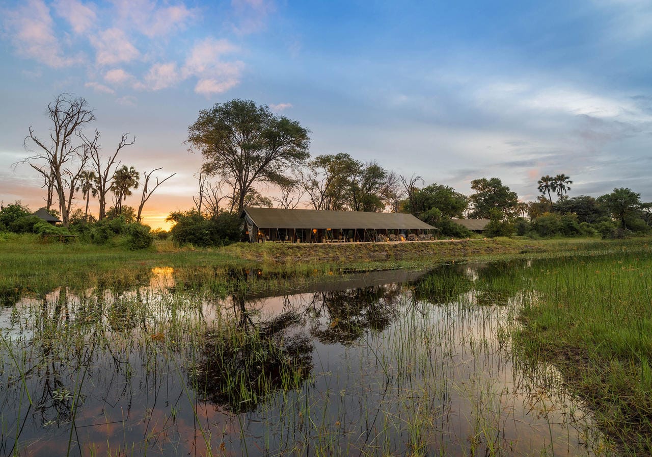 Gomoti Plains Camp View