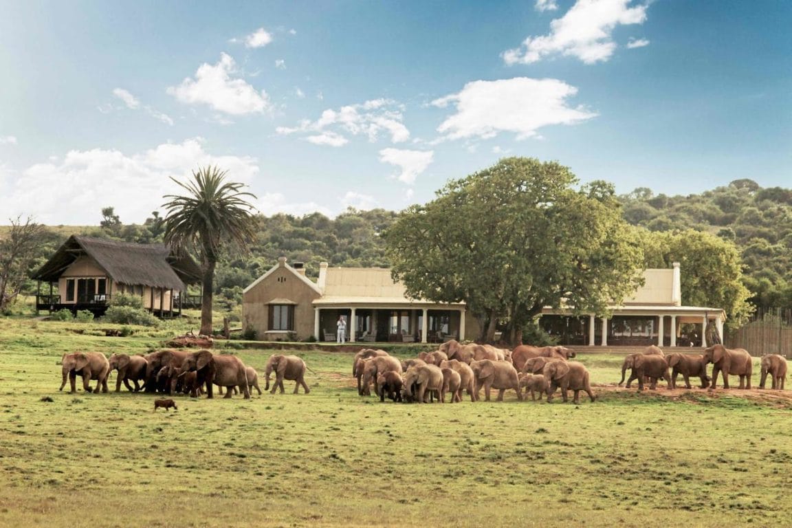 Gorah Elephant Camp View