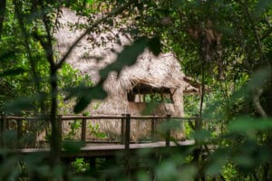 Lango Camp View