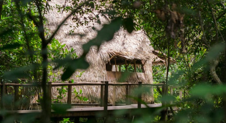 Lango Camp View