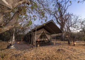 Machaba Camp Tent