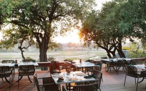 Malamala Camp Deck Dining