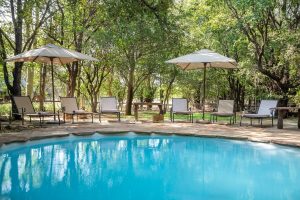 Mashatu Tent Camp Pool