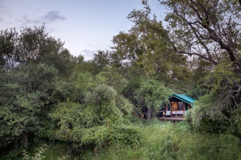 Mashatu Tented Camp Tent View