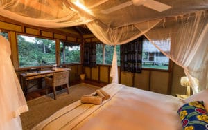 Mboko Camp Room