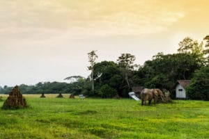 Mboko Camp View 1