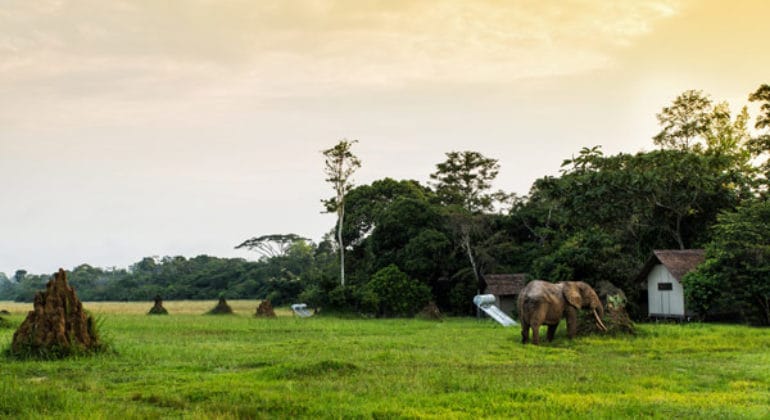 Mboko Camp View 1