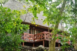Mikeno Lodge View 1