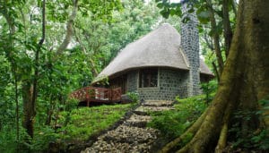 Mikeno Lodge View