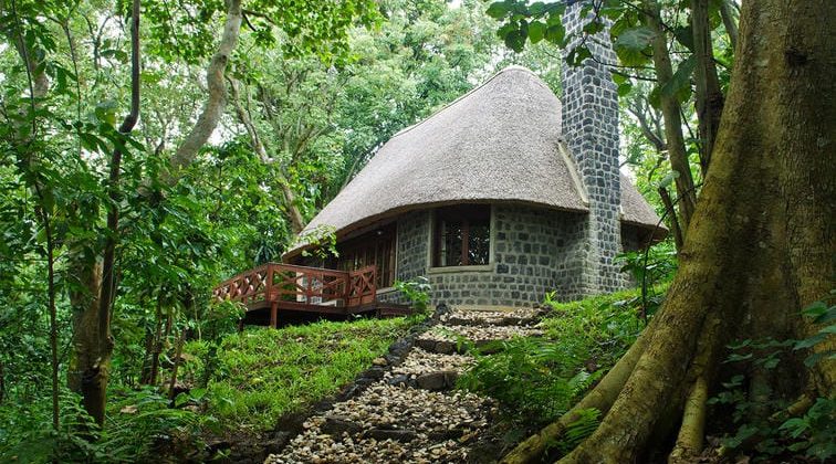 Mikeno Lodge View
