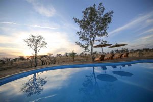 Nimali Tarangire Camp Pool
