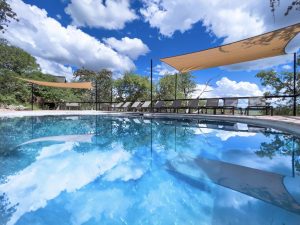Ongava Lodge Pool