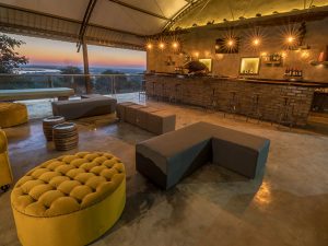 Pangolin Chobe Lodge Bar