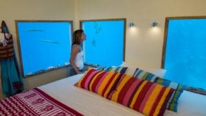The Manta Underwater Room Interiors