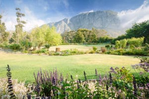 The Thatch House Gardens