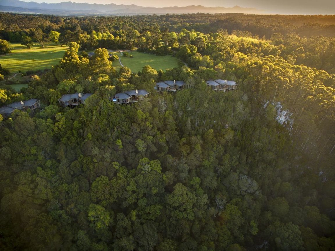 Tsala Treetop Lodge Aerial View