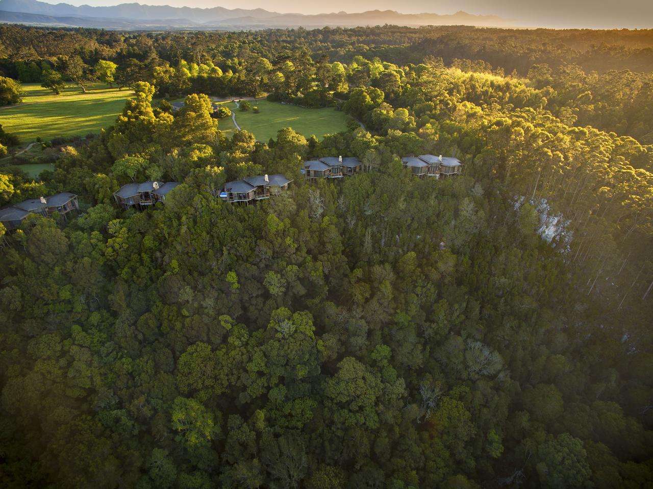 Tsala Treetop Lodge, Plettenberg Bay, South Africa