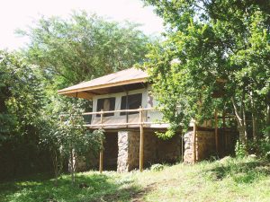 African View Lodge Treetop Tent