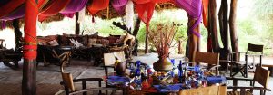 Elephant Watch Camp Main Area