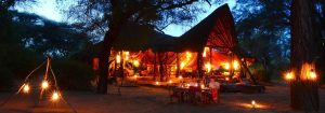 Elephant Watch Camp At Night
