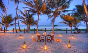 Garden Villa Outdoors